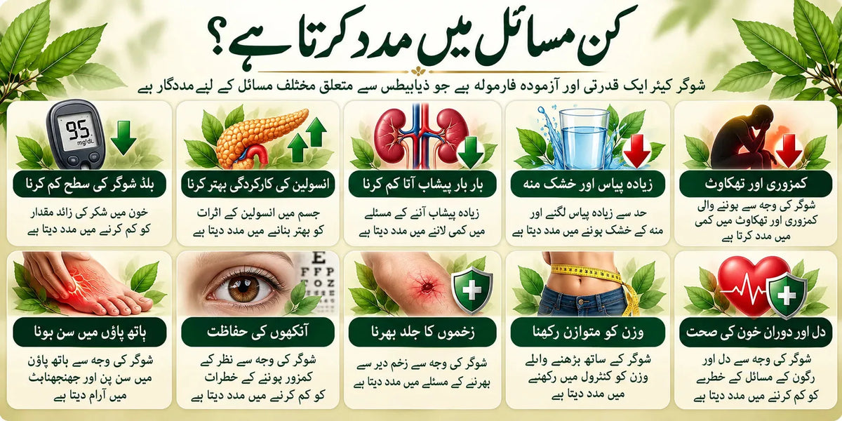 TibbeShifa Herbs - طبِ شفاء خالص دیسی ہربل علاج