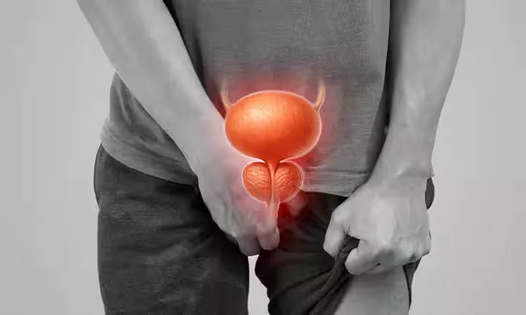Jaryaan Benefits - مقوی اعصاب اور قدرتی طاقت کے فوائد