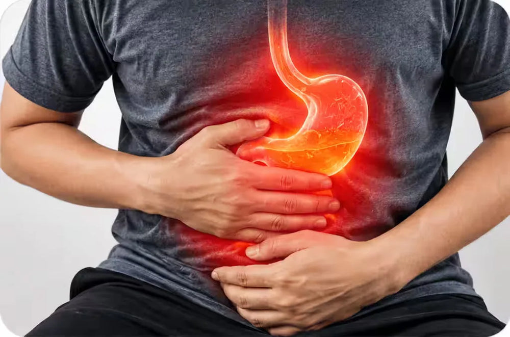 Medda Benefits - شفائے معدہ سے فوری آرام کے فوائد